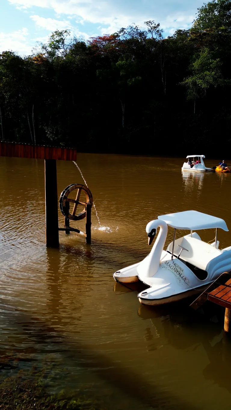 Pedalinhos Laguna Magnólia na lagoa privativa com mata nativa ao fundo